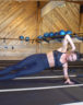 core stabalizing planks_